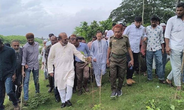 State minister inspects tree plantation programme on Bishkhali River bank | News