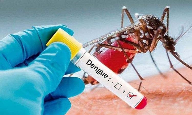 Health officials report 473 fresh cases of dengue inflection, 1 death overnight | News