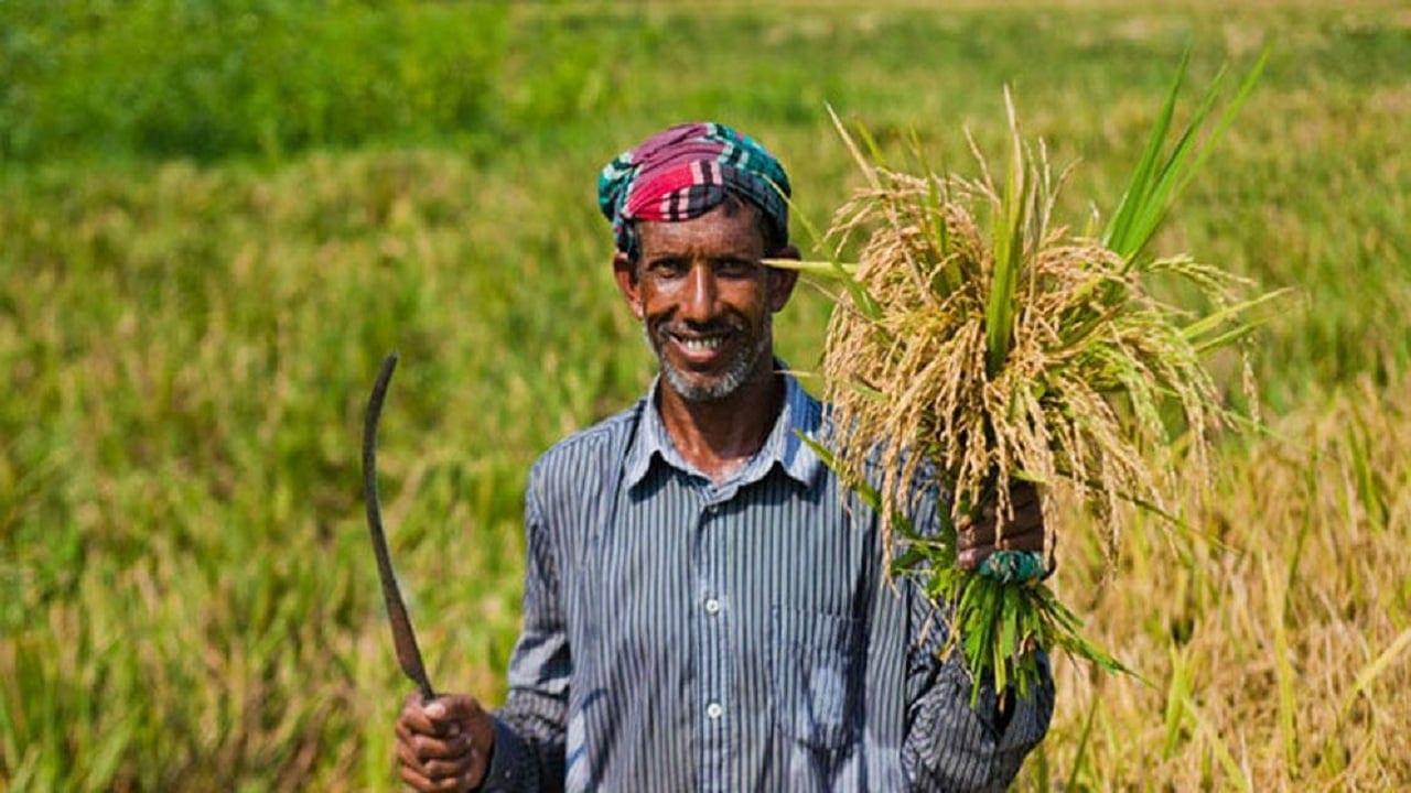 56,748 farmers in Khulna division to get agro loan waiver | District