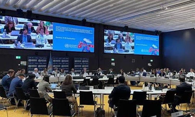 Pandemic treaty talks roll on into September | International