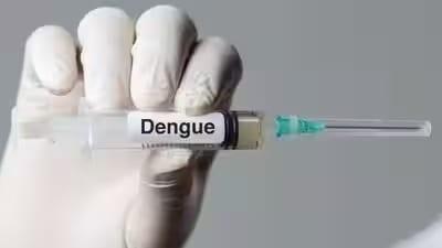India approves first dengue vaccine | International