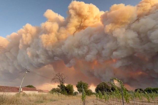 Hundreds flee as wildfire rips through southern France | International