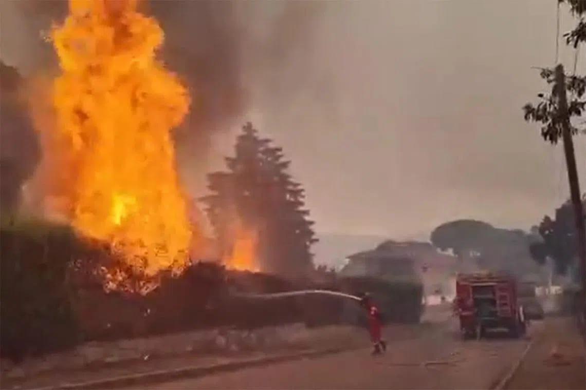 Spain declares national emergency in Madrid region over forest fires | International