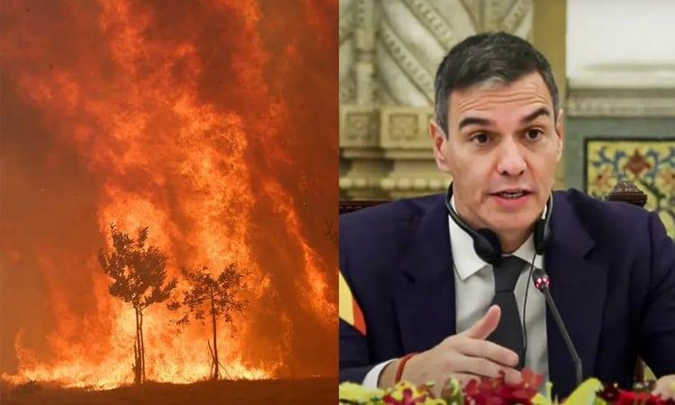 Spanish PM calls wildfires 'a dramatic situation' | International