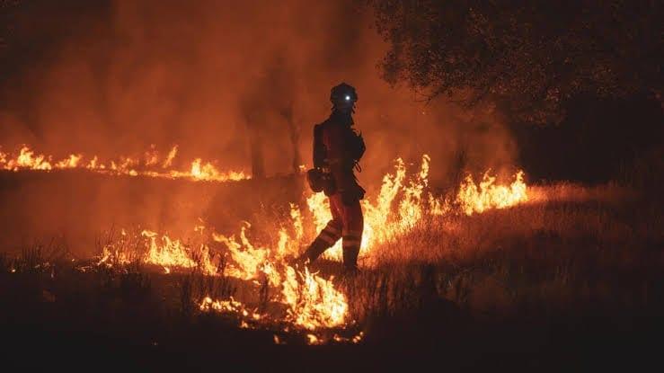 Firefighters race to stop wildfires merging near Madrid | International