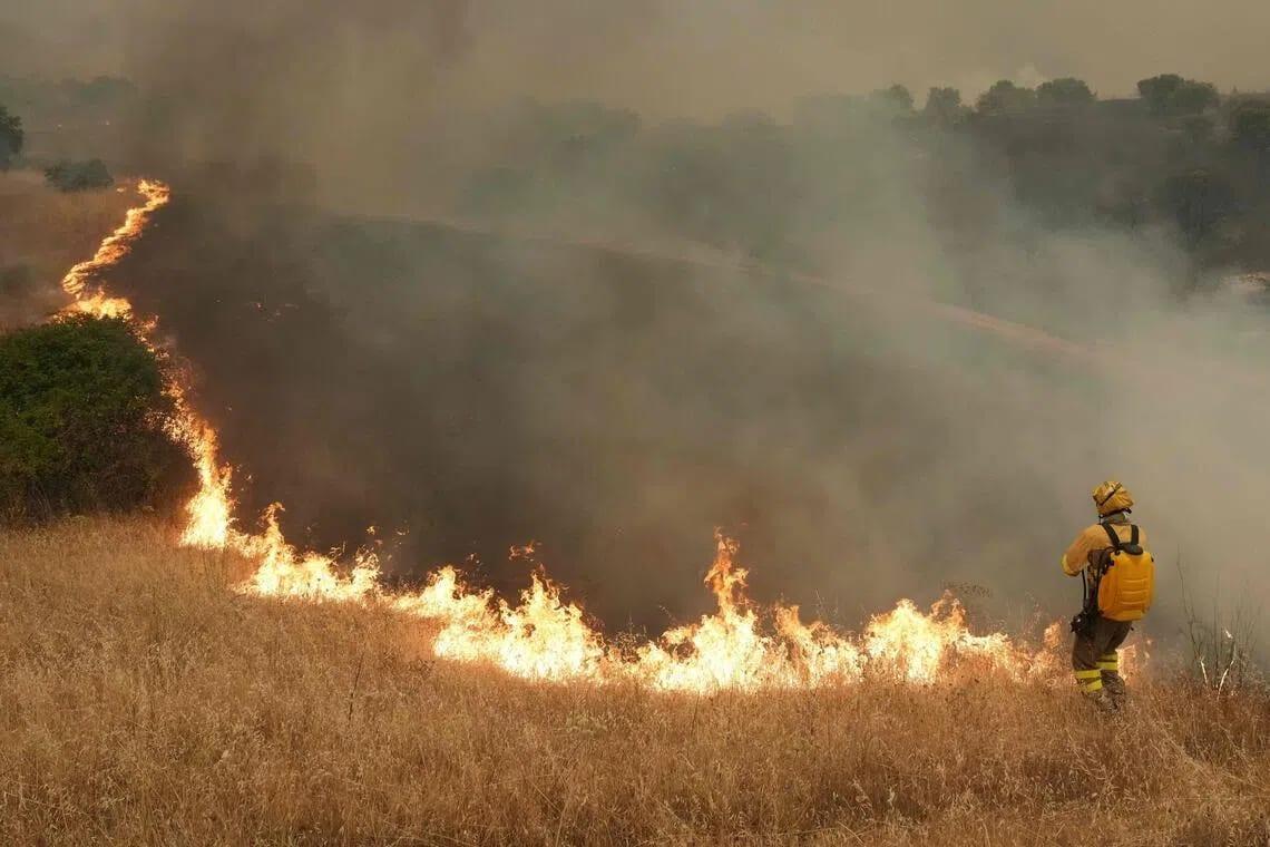 Major NASA site in Spain hit by wildfire | International