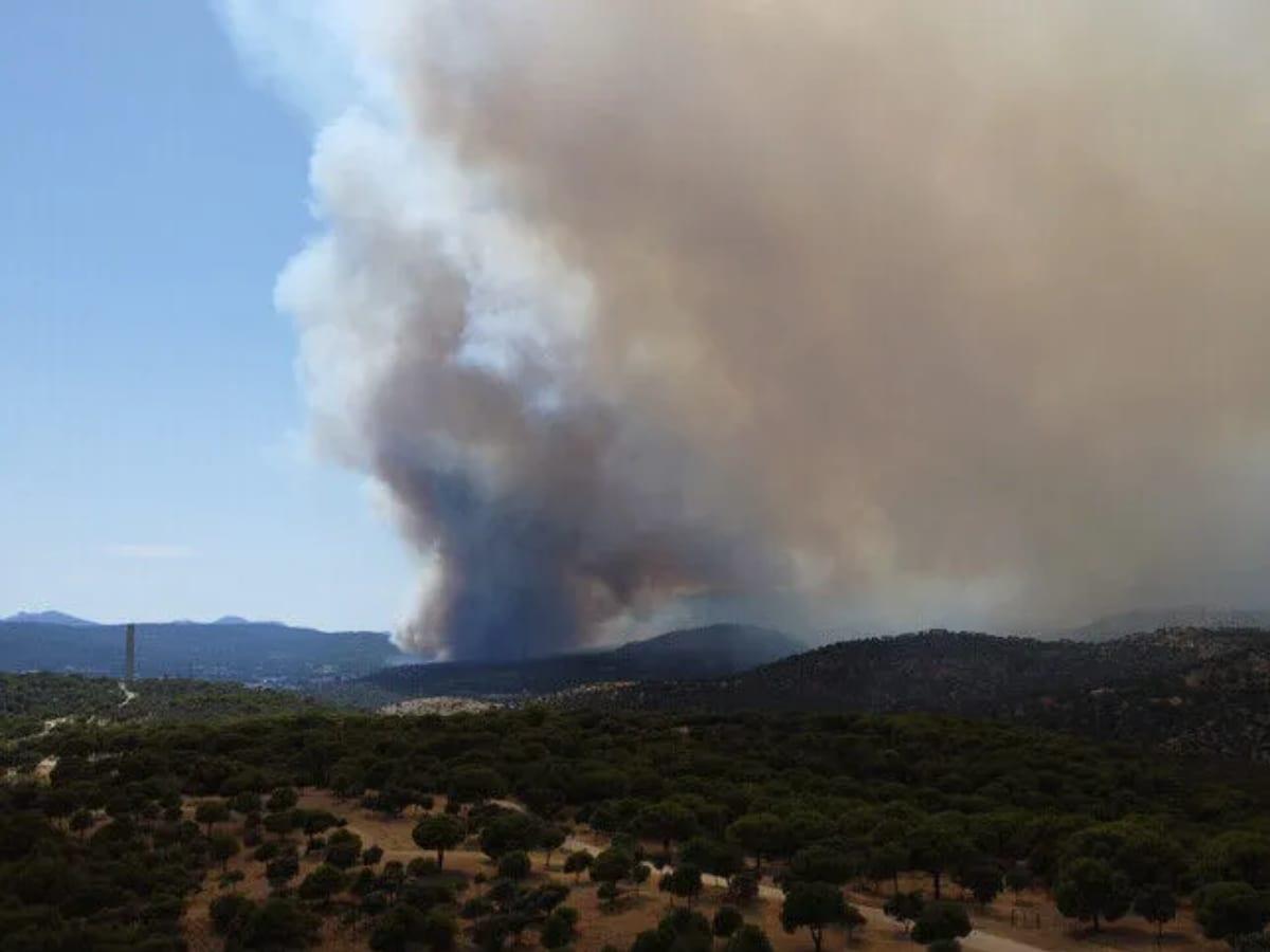 Spain official warns winds could worsen fire | International