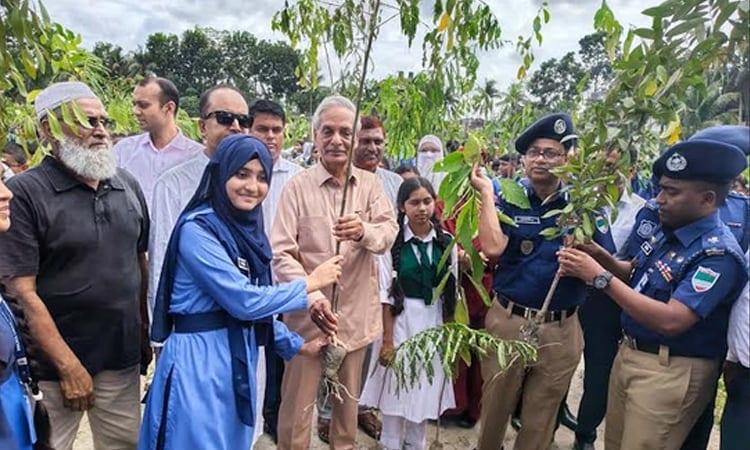 Culture minister inaugurates tree plantation programme in Magura | News