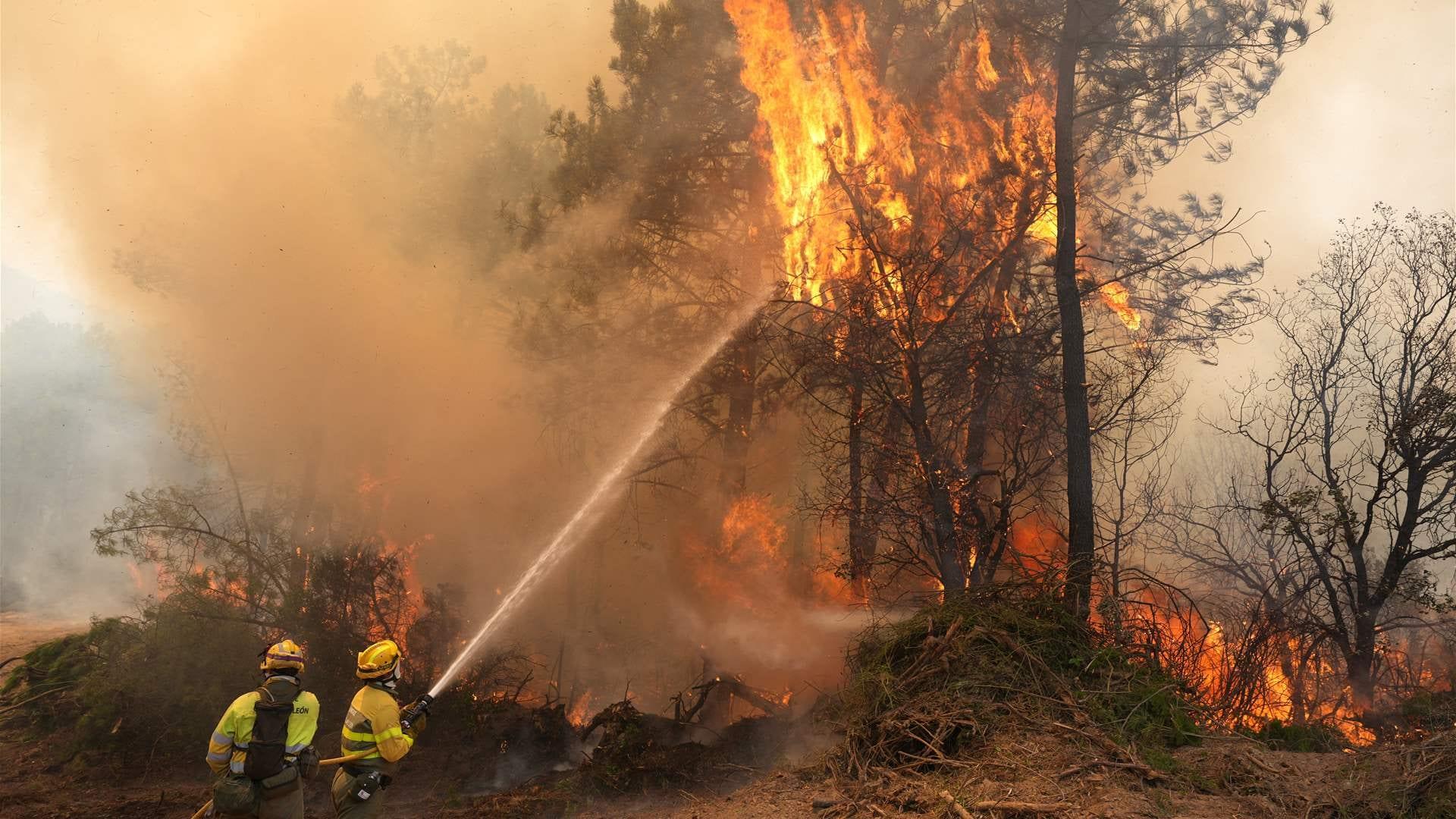 One person dies in fire in eastern Spain: town hall | International