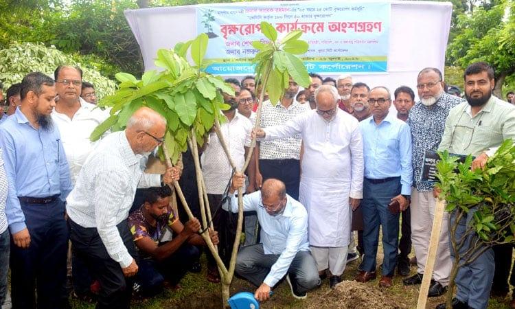 Tree planting must be followed by proper care, maintenance: State Minister | Others