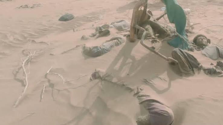 Fourteen Afghan migrants found dead in desert | International