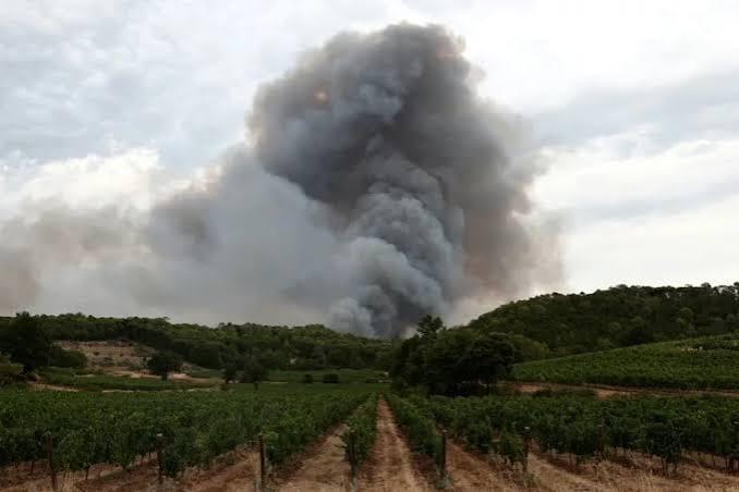 France's largest wildfire in decades 'under control', says minister | International