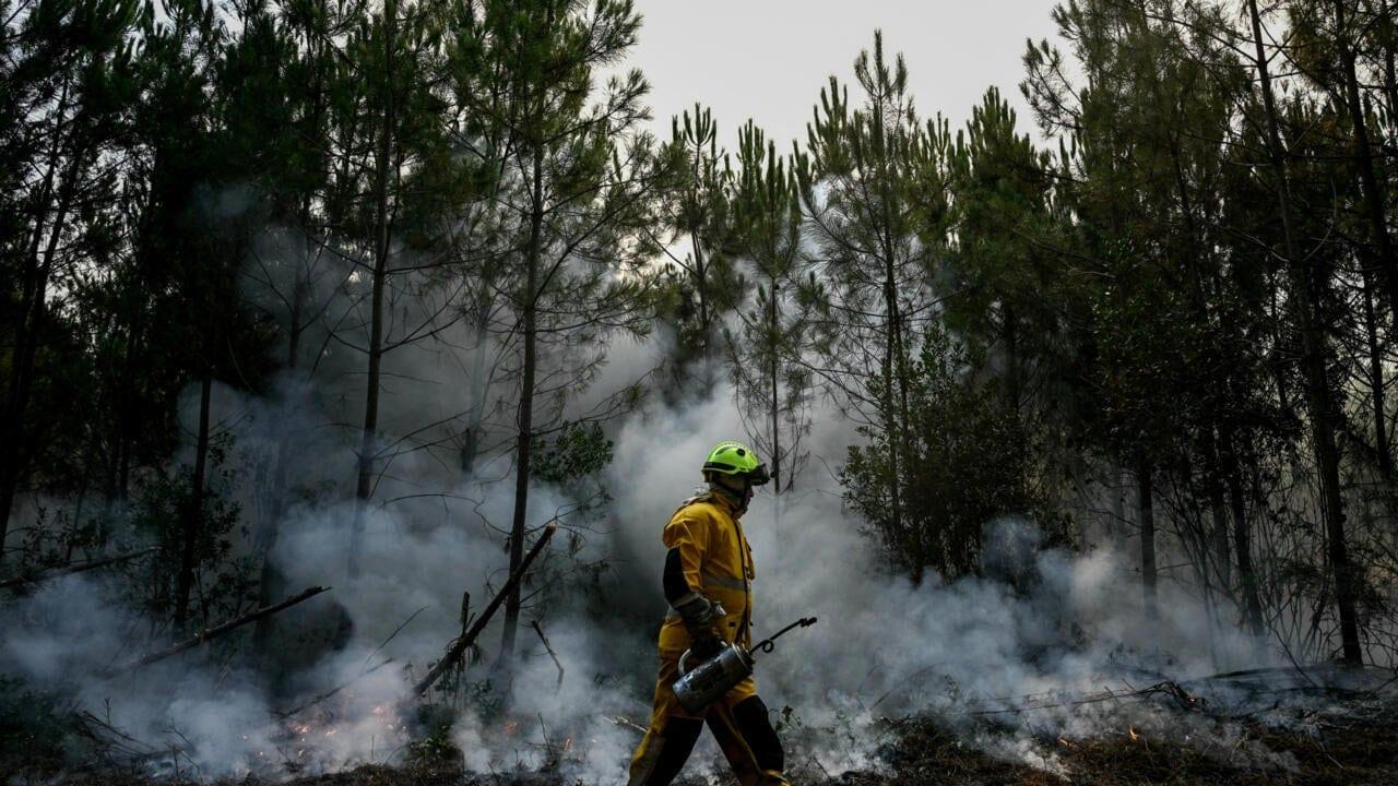 France's devastating fires now 'under control', says PM | International