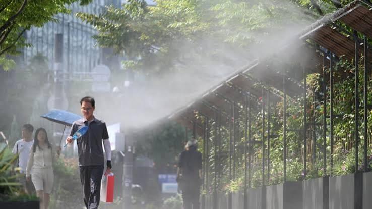 Seoul issues 1st 'severe heatwave warning' under new system | International