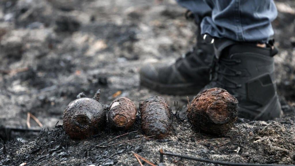WWII shells surface in wildfire-ravaged French village | International