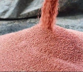Govt to procure 35,000 MTs of fertilizer from Russia | Others