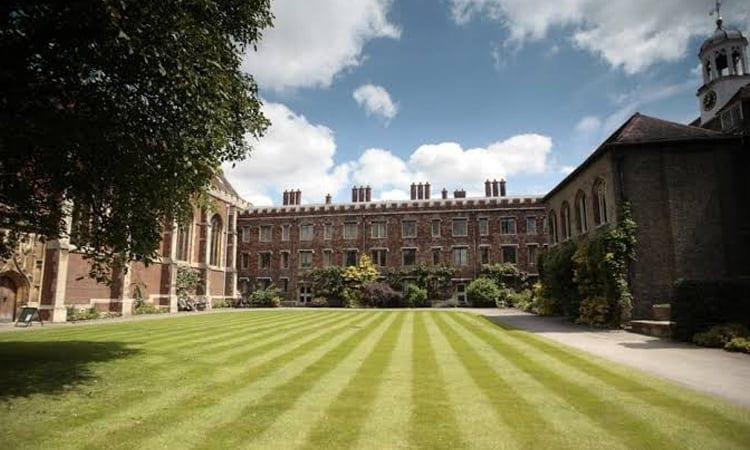 Cambridge to review hiring process amid plagiarism row | International