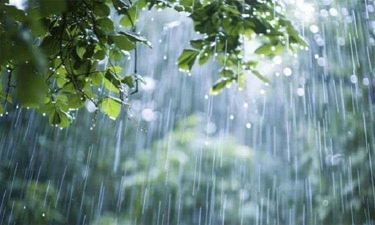 Rain likely in parts of country | News