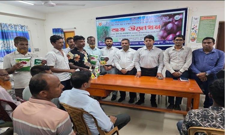 Onion seeds distributed among 3,000 farmers in Jhenaidah | Agriculture News