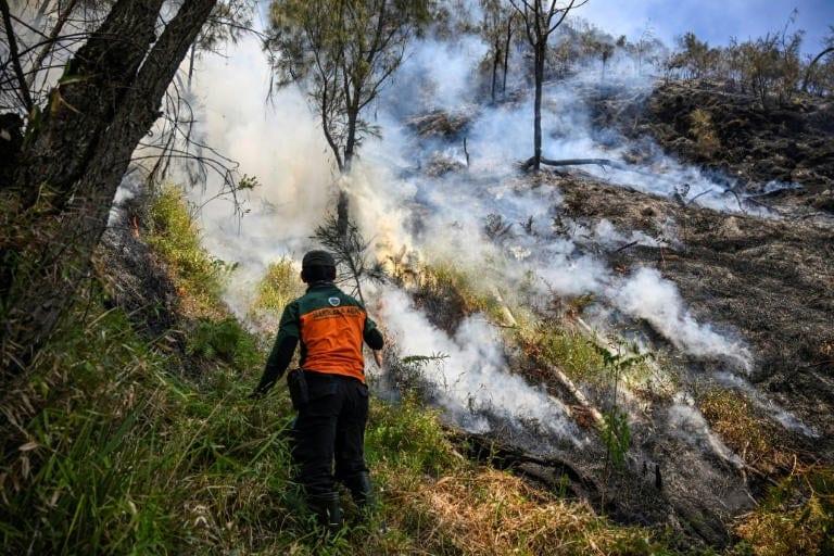 Indonesia closes national park as wildfire spreads | International