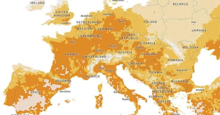 Europe braces for another summer heatwave | International