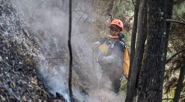 Schools closed as Indonesia battles wildfires | International