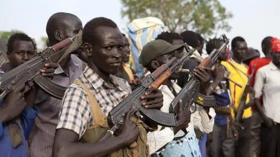 Attackers kill 60 people in S.Sudan cattle raid: local official | International