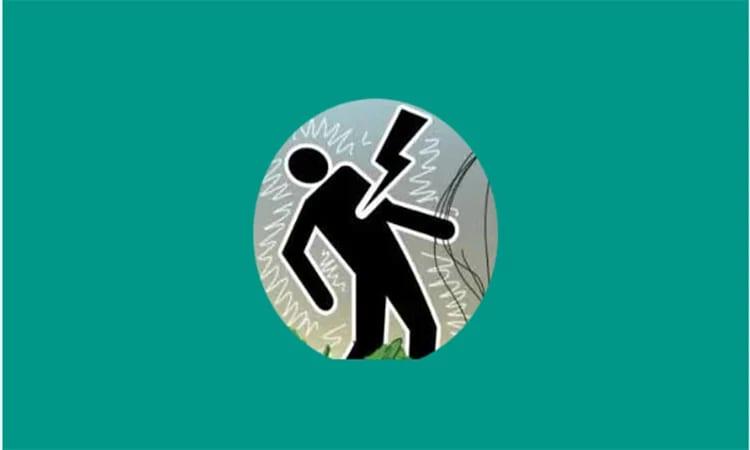 Farmer killed in Satkhira lightning strike | District
