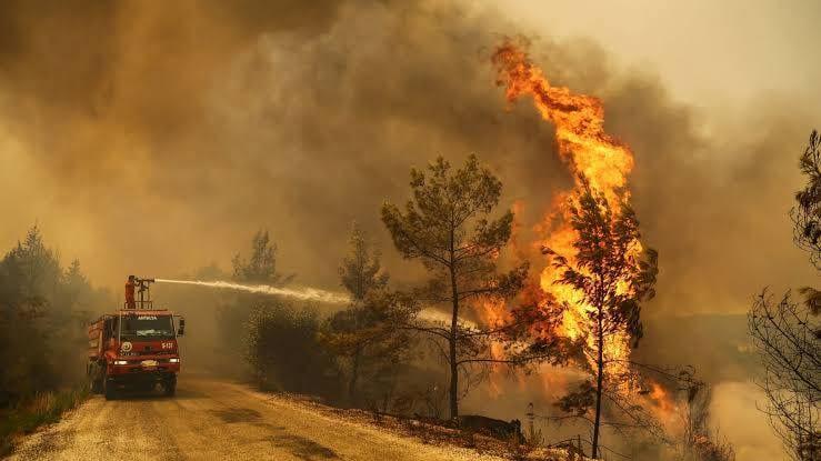 Croatian wildfires destroy homes and cars, hundreds forced to flee | International