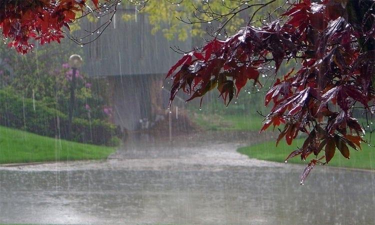 Rain predicted in parts of country | News