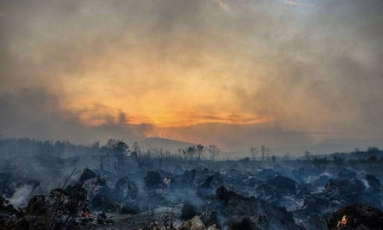 Croatian wildfire hits homes, injures 19 | International