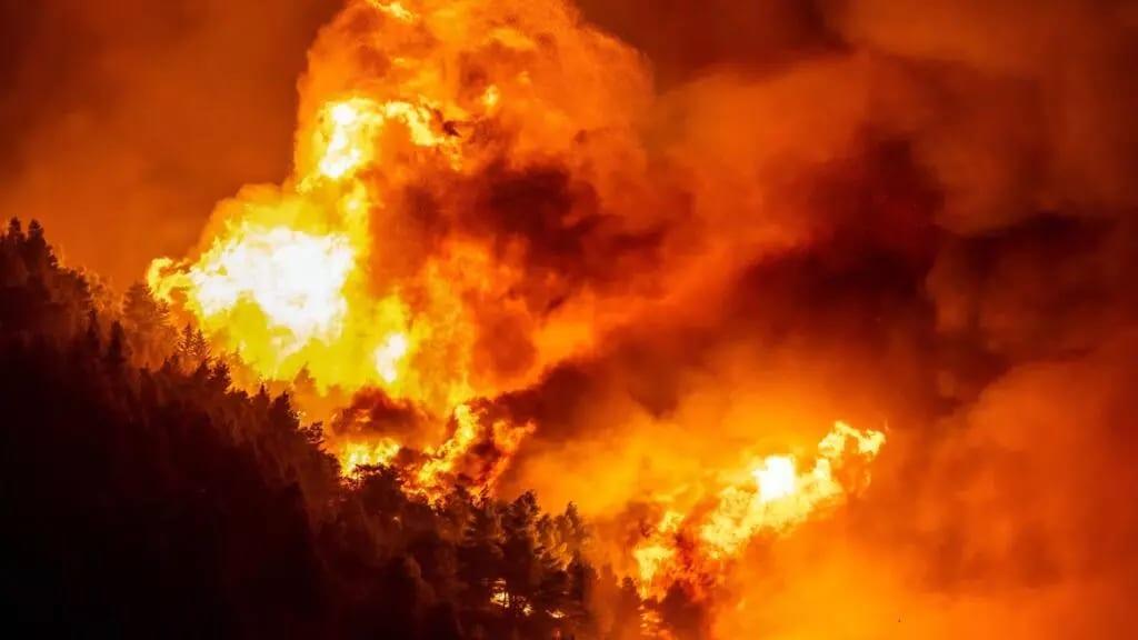 Body found after wildfire hits Croatian coastal town | International