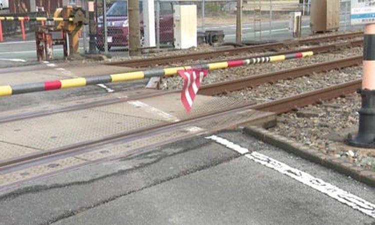 Four workers hit and killed by train in Japan | International