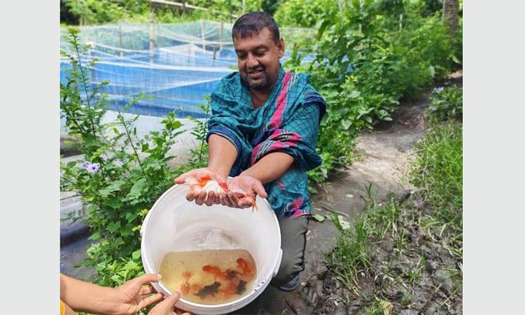 Young entrepreneur sets example of integrated farming in Dumuria | District