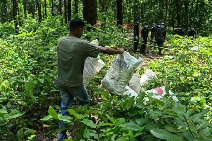 Nepal begins burials as flood death toll rises to 752 | International