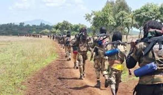 Ethiopia rebel group threatens mining firms after deadly attack | International