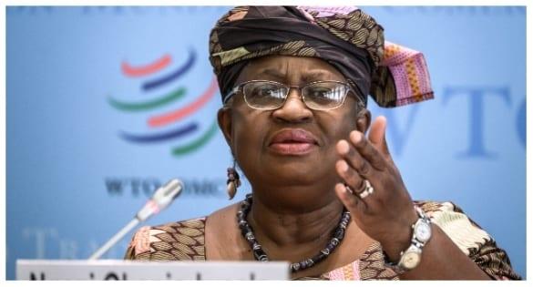 WTO warns of 'most serious and sustained' trade disruptions | International