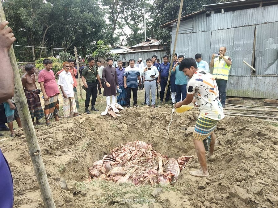 গাইবান্ধায় ঘোড়া জবাই করে মাংস বিক্রির চেষ্টা, ছয়জনের কারাদণ্ড