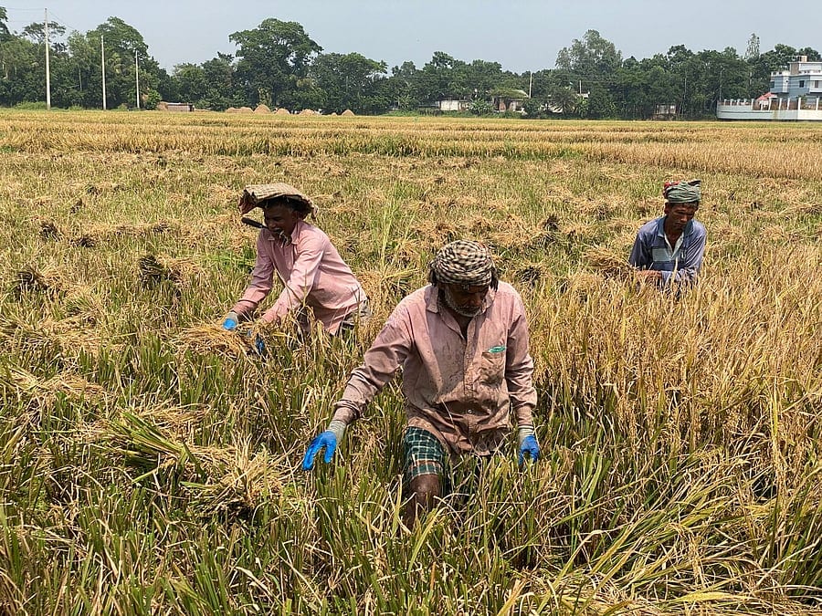 ১০ হাজার কোটি টাকার নতুন কৃষিঋণ তহবিল, সুদ ৮%