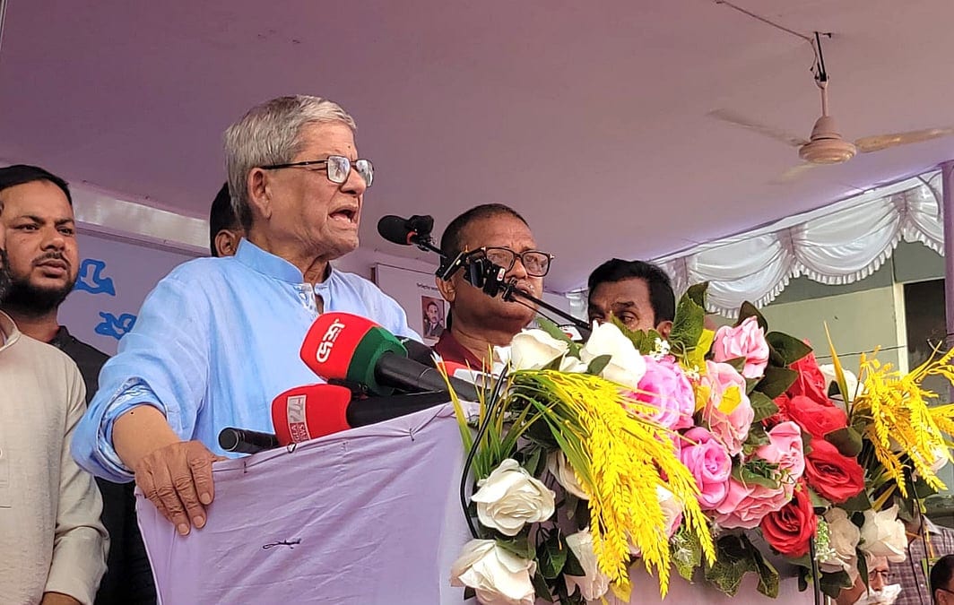 যে কথাগুলো দিয়েছি, পালন করার চেষ্টা করছি: মির্জা ফখরুল