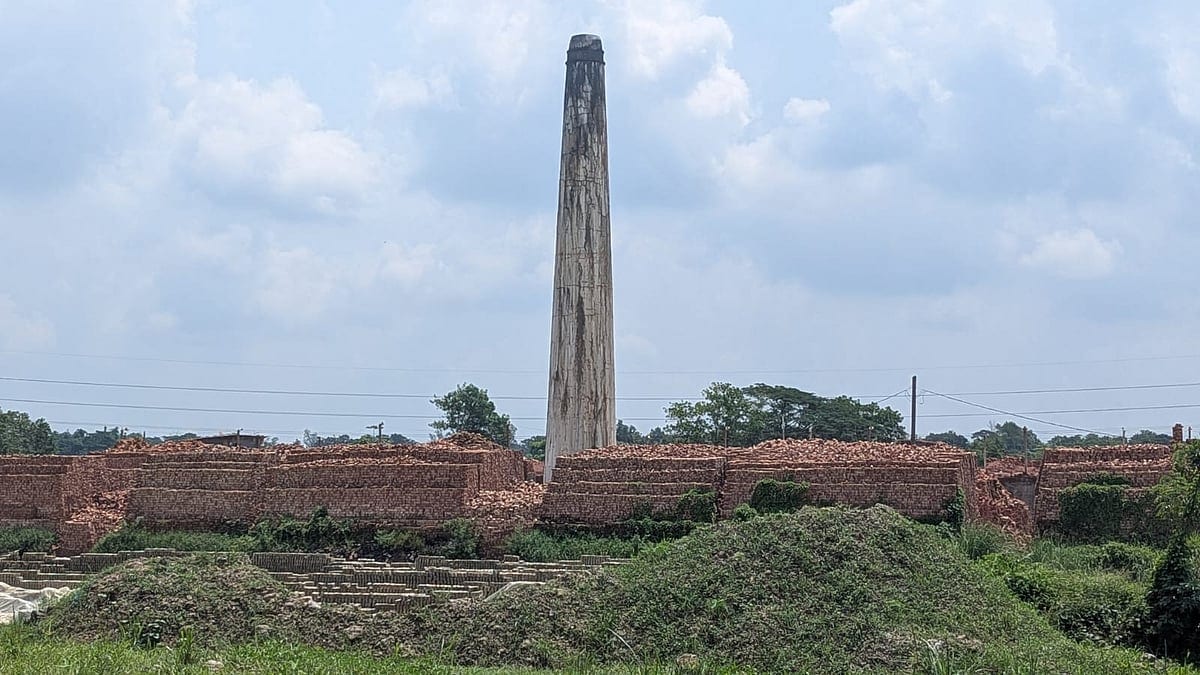 ঢাকা থেকে মধুগ্রামের পথে: ইটভাটা, বর্জ্য আর হারিয়ে যাওয়া সবুজ